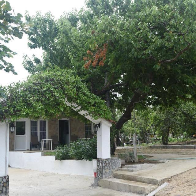 Villa Leonidas Koutsoupia Kókkinon Nerón Εξωτερικό φωτογραφία